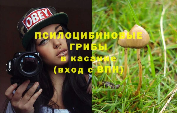 МДПВ Армянск