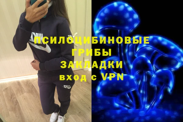 ПСИЛОЦИБИНОВЫЕ ГРИБЫ Арсеньев