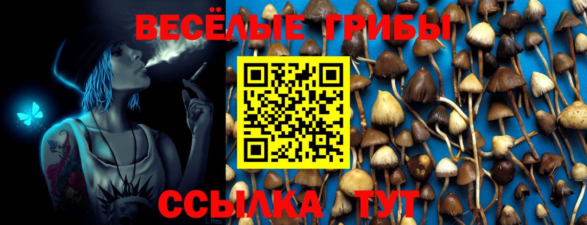 Галлюциногенные грибы Psilocybe  Галлюциногенные грибы ЛСД  где продают   Полевской  Вход с VPN 