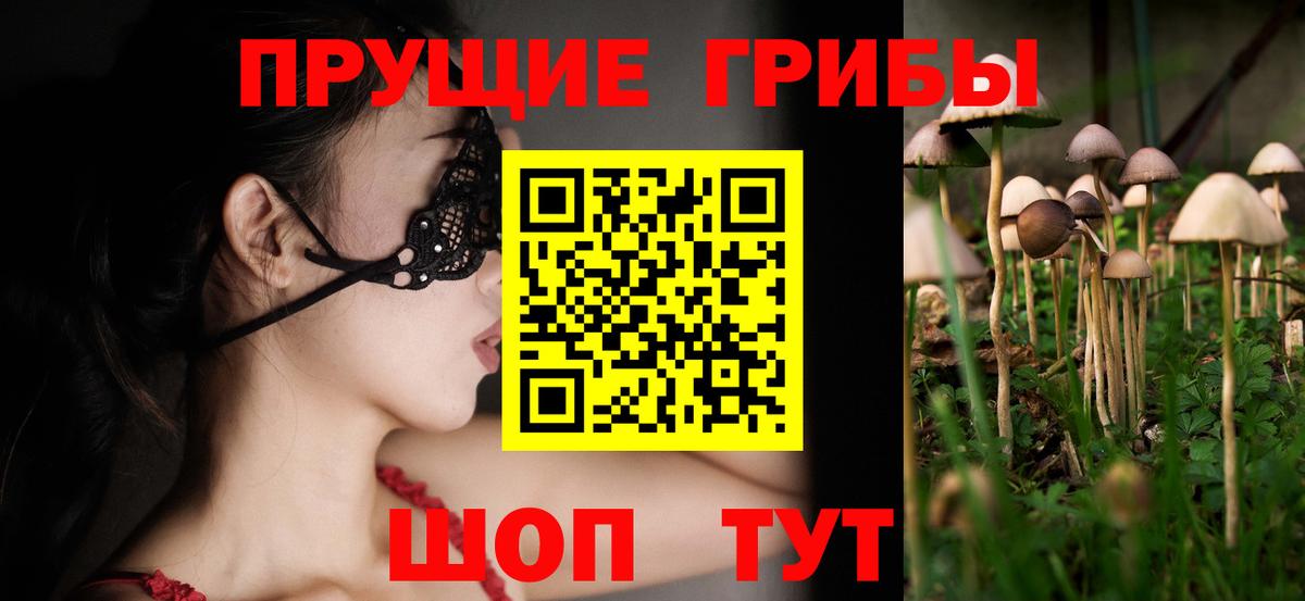 Галлюциногенные грибы GOLDEN TEACHER Полевской